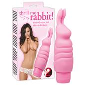 Thrill Me Rabbit