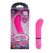 Tantra Vibrator - Zen Massager